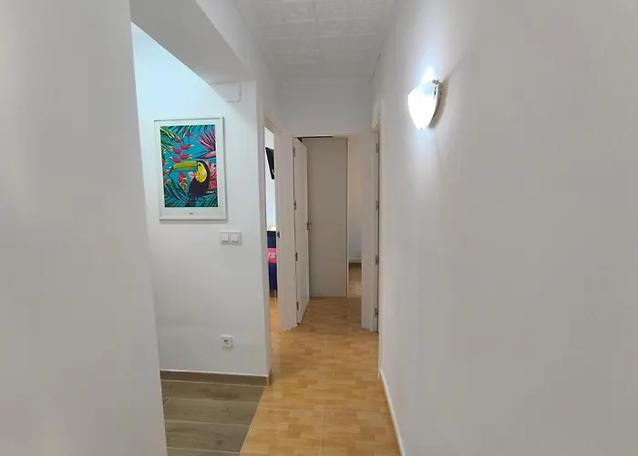 Central Apartment In Valencia With Wifi + Parking.